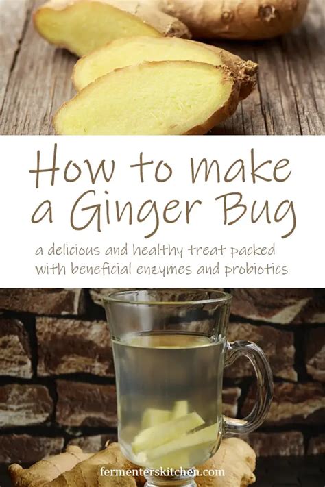 Ginger Bug Starter Recipe ⋆ Fermenters Kitchen