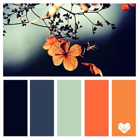 Teal Orange Color Palette Flowers | Orange color palettes, Pantone color, Color schemes colour ...