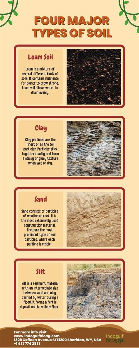 Types Of Soil - Sandy Soil, Clay Soil, Silt Soil, And Loamy Soil : r/Soil