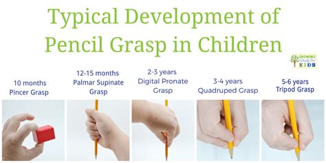 Typical Pencil Grasp Development for Writing