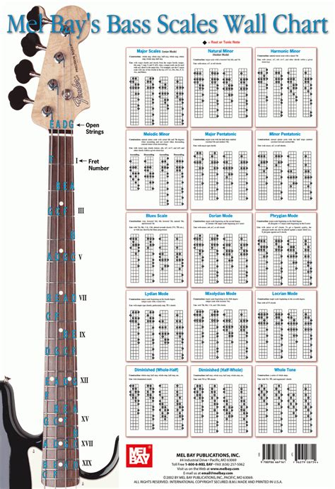 Blank Bass Guitar Wiring Diagram - Collection - Faceitsalon.com