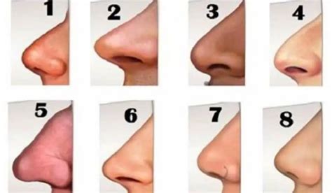 The Shape of Your Nose Reveals Something About Your Personality - Namastest