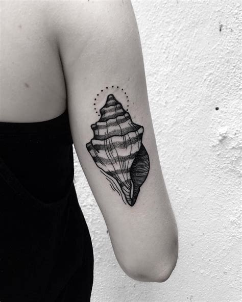 Conch Shell Tattoo Designs : Conch Shell Tattoo Design ...