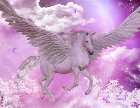 Unicorn pictures, Pegasus art, Unicorn and fairies