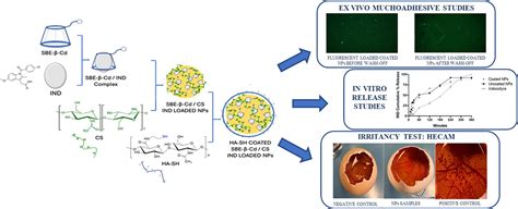 In Vitro And In Vivo Comparison Of Curcumin-Encapsulated, 43% OFF