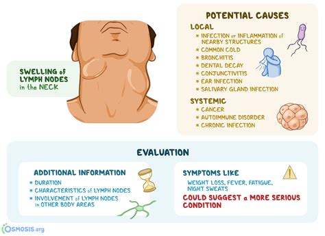 Jugular Lymph Nodes