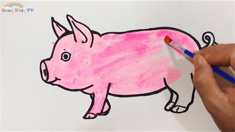 Cách Vẽ Con Lợn (Con Heo) – How to draw a pig | Trang cung cấp các ...