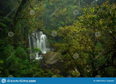 Waterfall in the South of Laos. Stock Photo - Image of background, deep: 129617510