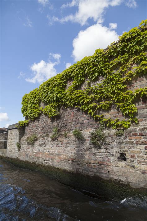 Bruges Canal Boat Tour Excursion | neOnbubble