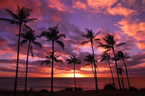 A Hawaiian Getaway - Free and Nearly Free Activities in Oahu and Maui ...