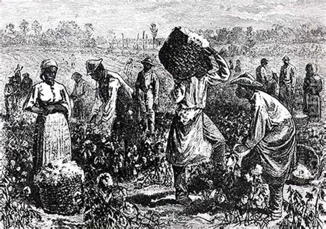 Plantation Slaves: Slavery on Plantations