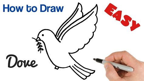 Easy Dove Drawing For Kids