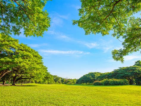 "Garden Background" Images – Browse 7,950 Stock Photos, Vectors, and Video | Adobe Stock