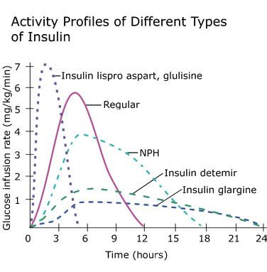 Types of Insulin - Diabetes Education Online