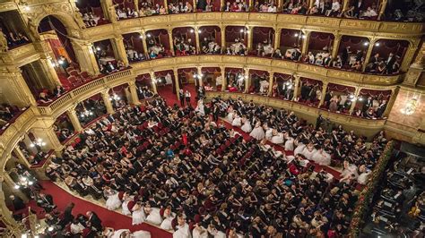 Vienna Opera Dress Code: What You Need To Know