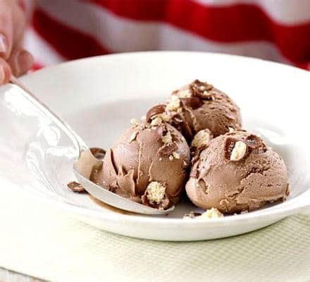 Chocolate Malt Ice Cream | Days To Fitness