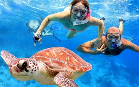 Blue Lagoon Snorkeling | Bali Sun Tours