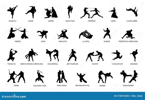 Types Of Martial Arts Silhouettes Vector Illustration | CartoonDealer.com #274372436