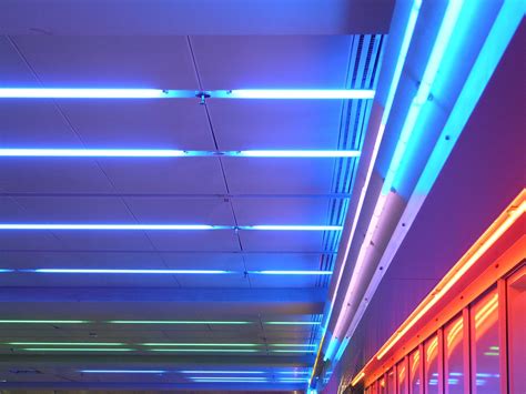 Ceiling lighting,neon light,neon lights,neon,lamps - free image from ...