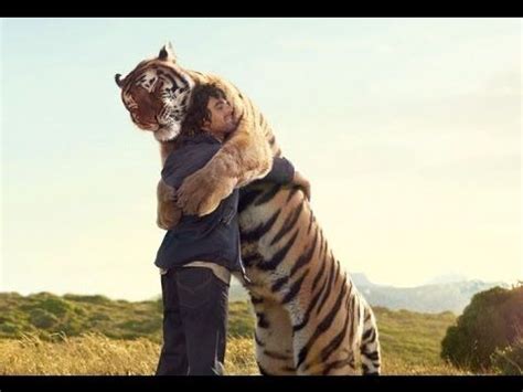 Animals Hugging Humans