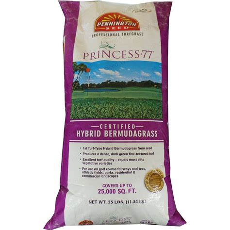 Princess 77 Bermuda Grass Seed One of the Best Hybrid Bermuda Grasses ...