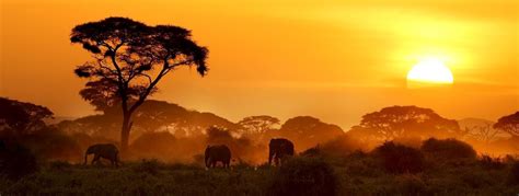 African Safari Information Guides