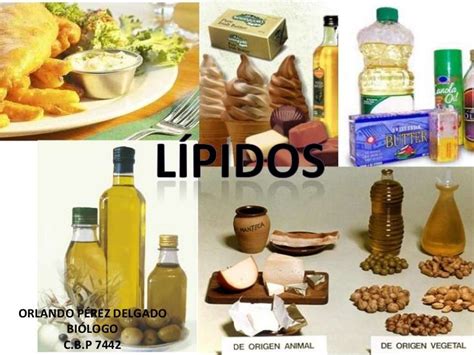 Misstrauen Sprache Motor ejemplos de lipidos en alimentos Urteil Abrechnungsfähig links