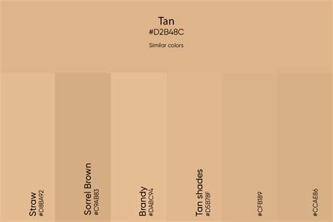 Tan Color: Its Meaning, Codes, and Top Palette Ideas - Picsart Blog