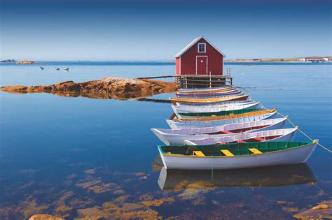 Newfoundland travel guide: things to do in Canada's most unique province