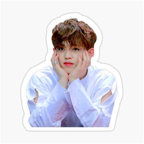 Seventeen Stickers for Sale | Seventeen, Seventeen scoups, Stickers