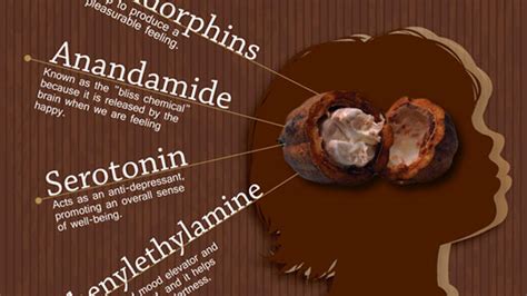 Benefits of Cacao - NutriLiving Infographics