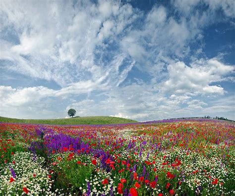 ...spring idyll... by ambiaso | Landscape, Nature photos, Beautiful landscapes