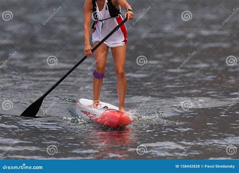 Stand Up Paddle Board Woman Paddle Boarding Stock Photo - Image of ...