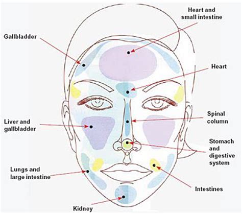 Associated Causes of Acne per Facial Zone