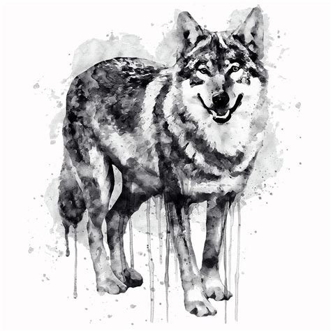 Black And White Wolf Art - Diysish