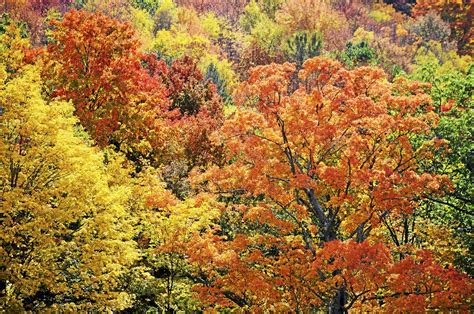 Connecticut fall foliage season: Interactive map shows best leaf-peeping spots