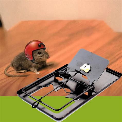 1 pcs Reusable Mouse Mice Rat Traps Pest Killer Control Trap Easy Mice ...