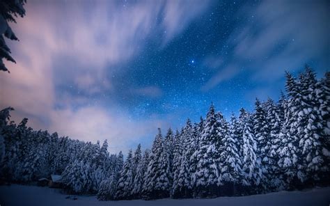 trees, Stars, Night, Snow, Winter, Forest, Sky, Clouds, Landscapes Wallpapers HD / Desktop and ...