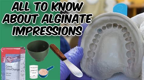 Alginate Impressions - Dental 101 - YouTube