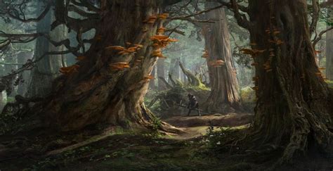 ArtStation - Forest environment concept 2, Sergey Vasnev | Fantasy art landscapes, Concept art ...