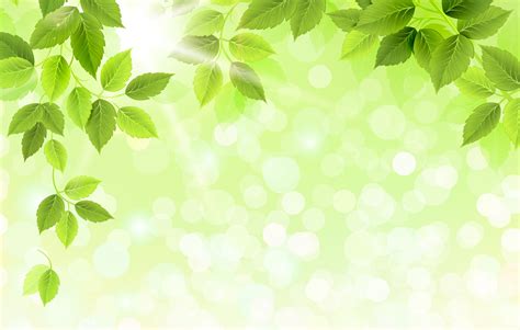 Free photo: Green leaves background - Art, Backdrop, Tree - Free Download - Jooinn