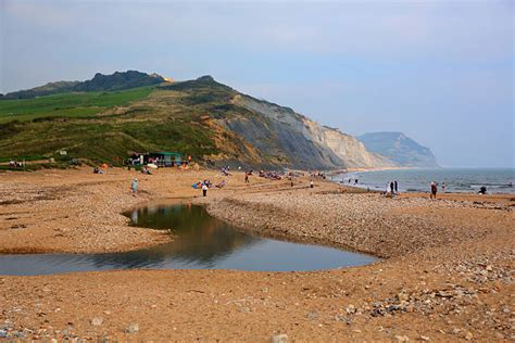 Best Charmouth Stock Photos, Pictures & Royalty-Free Images - iStock