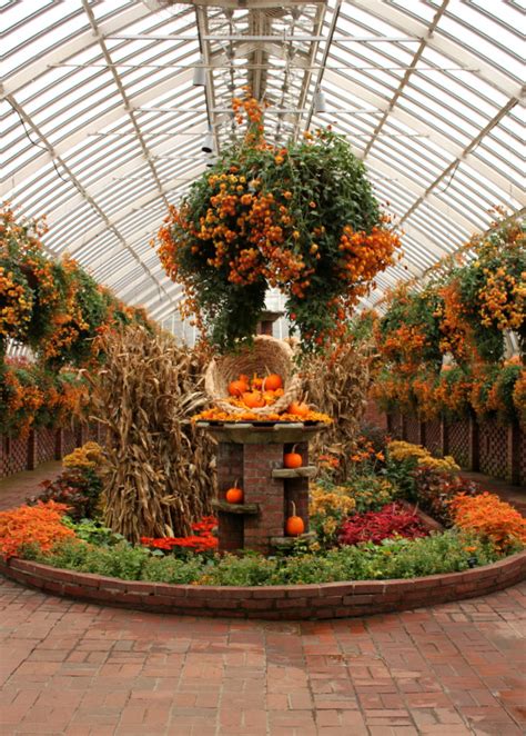 Fall Flower Garden Tour - Oh My Creative