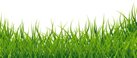 grass cartoon png transparent - Clip Art Library