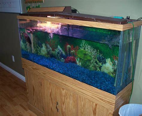 6 gallon fish tank Clickurdesign: 30 gallon high fish tank - ISBAGUS