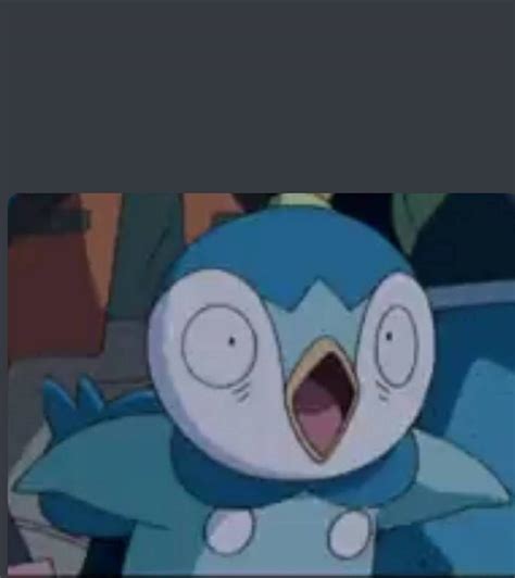 Shocked Piplup Meme Template by MadnessGal2209 on DeviantArt