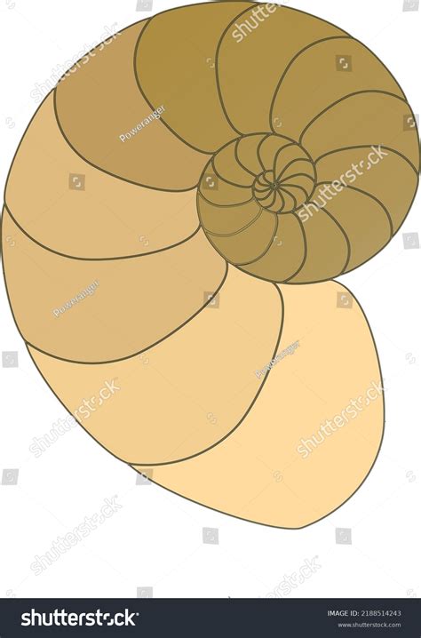 Illustration Vector Graphic Fibonacci Spiral Logo Stock Vector (Royalty Free) 2188514243 ...