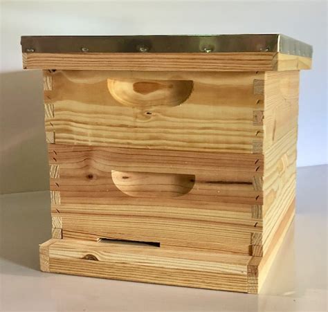 beginner hives, starter hives, backyard beekeeping, beginner beehive ...