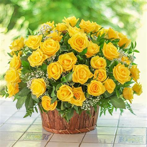 Fresh Yellow Roses in Basket | Flowers