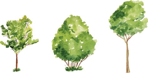 Watercolor Tree Vector Art, Icons, and Graphics for Free Download